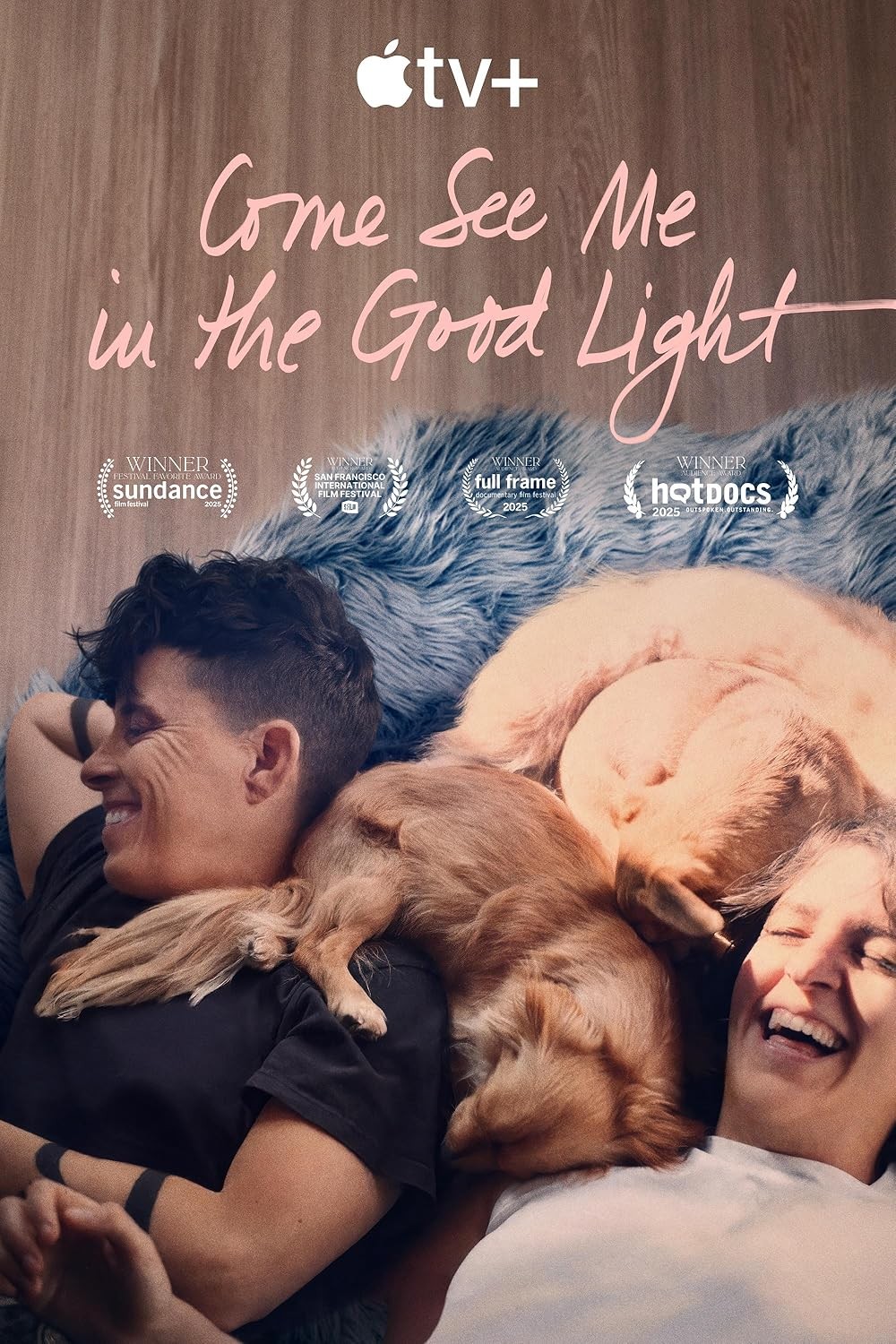فيلم Come See Me In The Good Light 2025 مترجم
